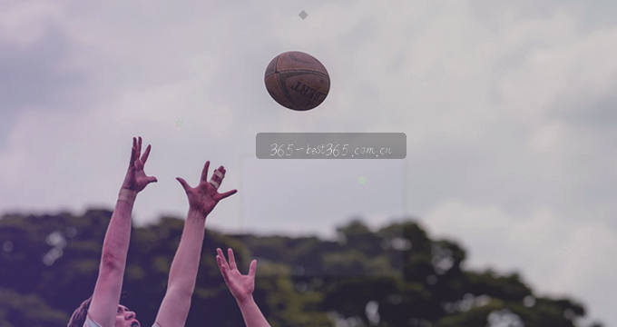 数据流动的脉冲跳动在商业脉络中